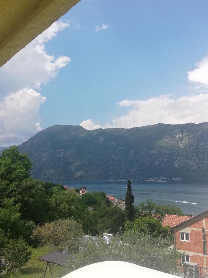 Apartment Ksenija Kotor Eksteriør bilde